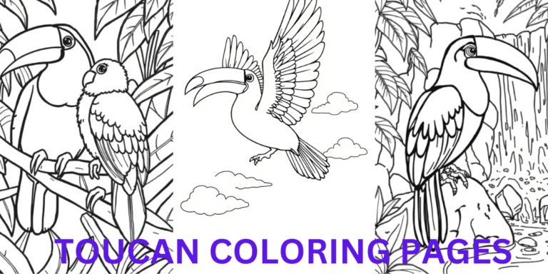 TOUCAN COLORING PAGES