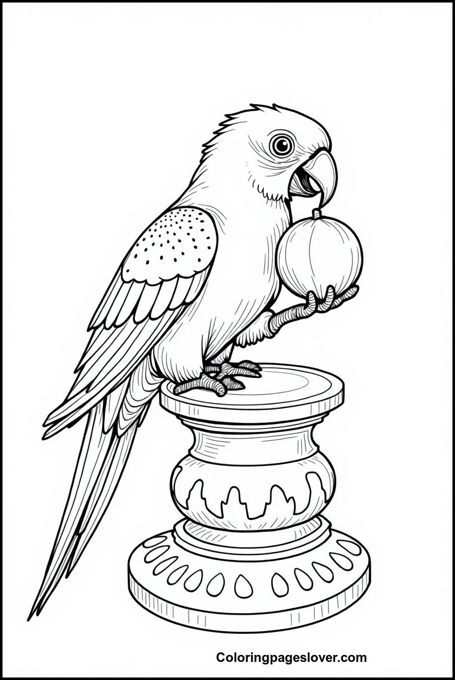 Parrot Coloring Pages 