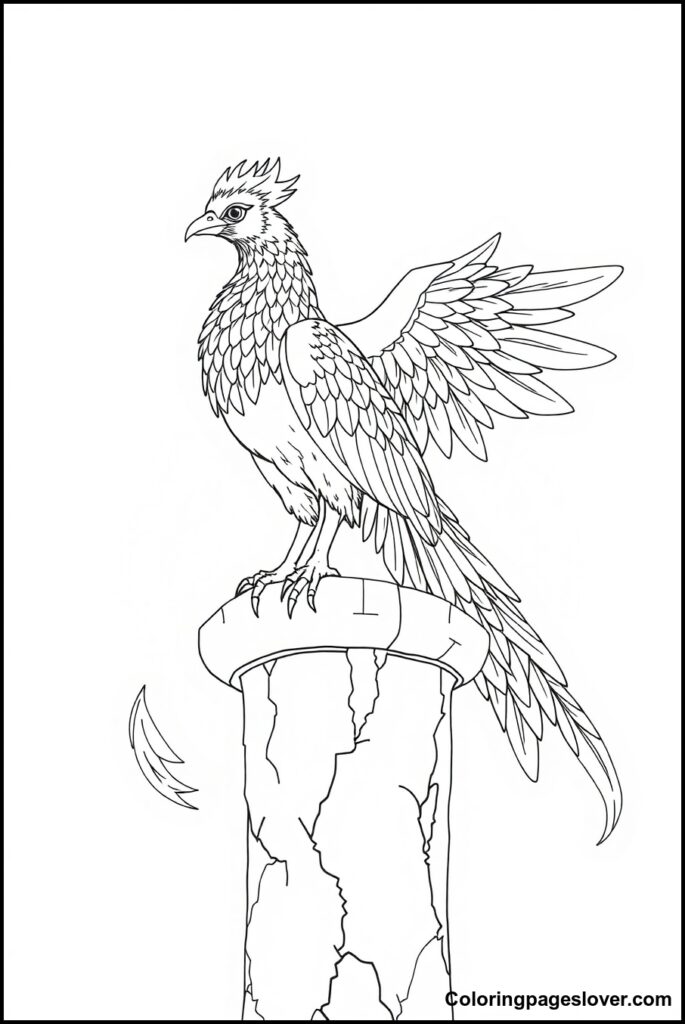 Phoenix Coloring Pages 