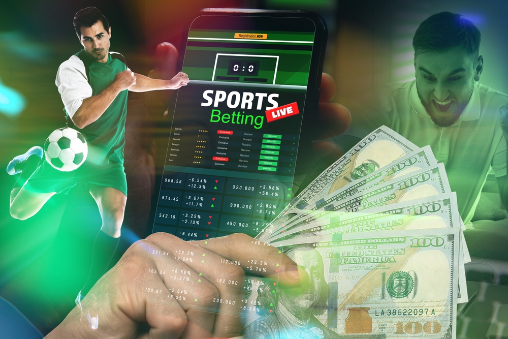 Exploring Bet Winner TZ Your Ultimate Betting Experience